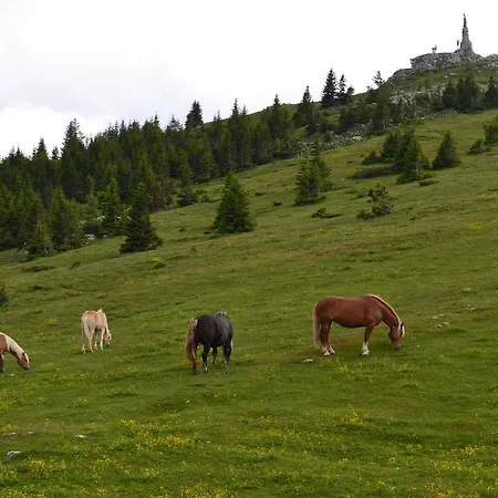 Fogadó Altes Almhaus