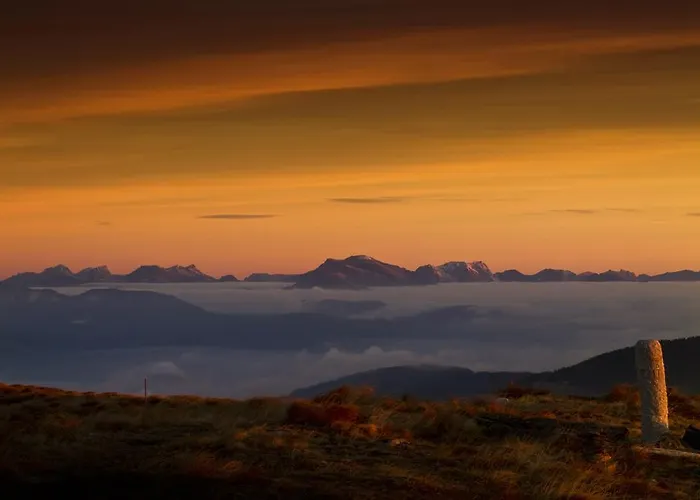 Altes Almhaus Gasthof