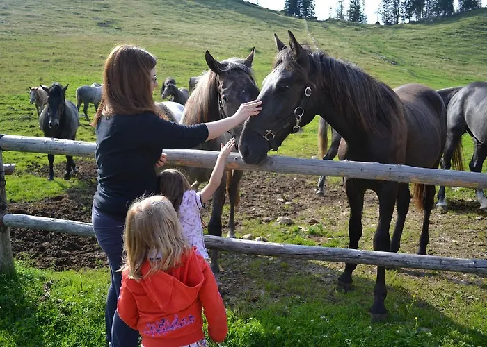 Gasthof Altes Almhaus *