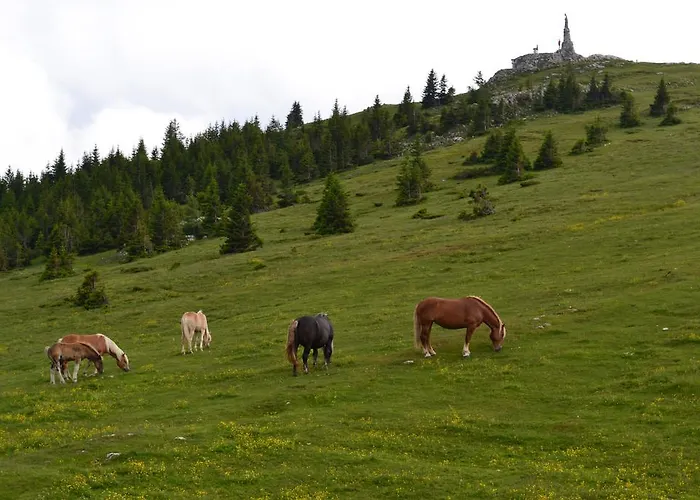 Gasthof Altes Almhaus