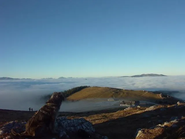 Altes Almhaus Gasthof *